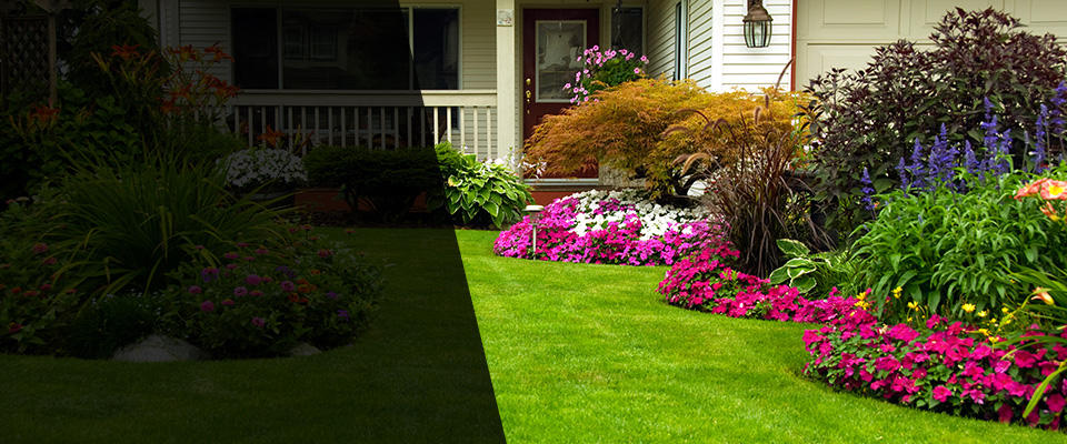 Grand Rapids Landscapers